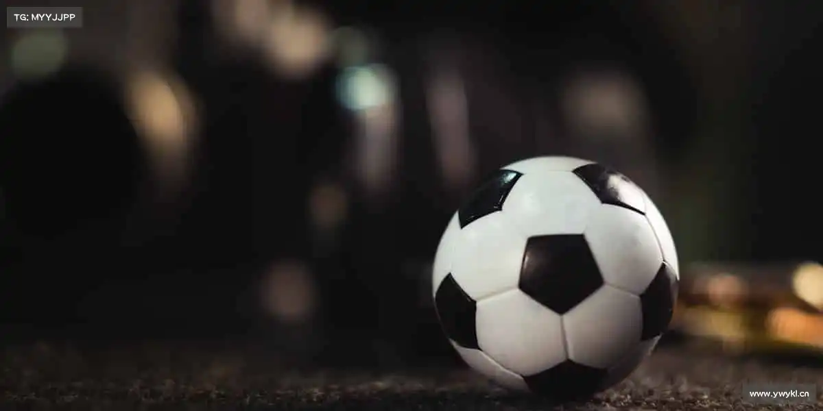 我们的品牌价值